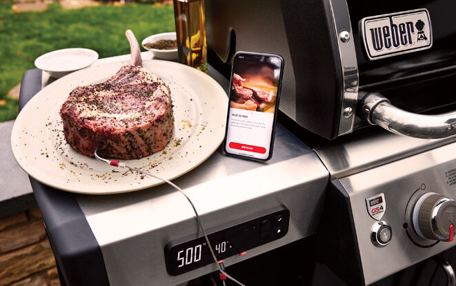 Weber smart grill outlet